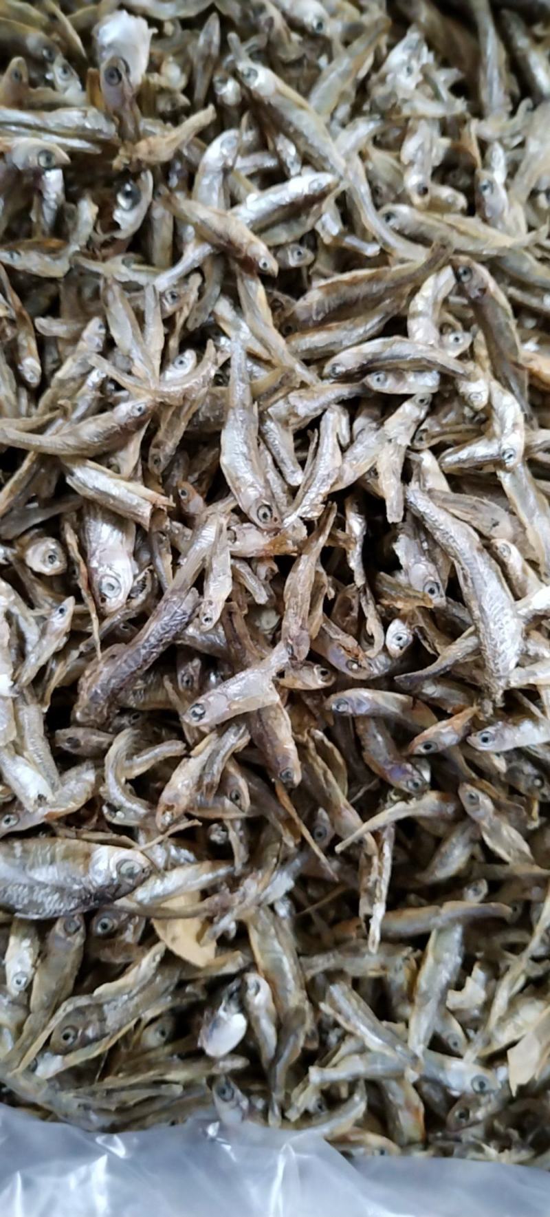 水煮小白刁