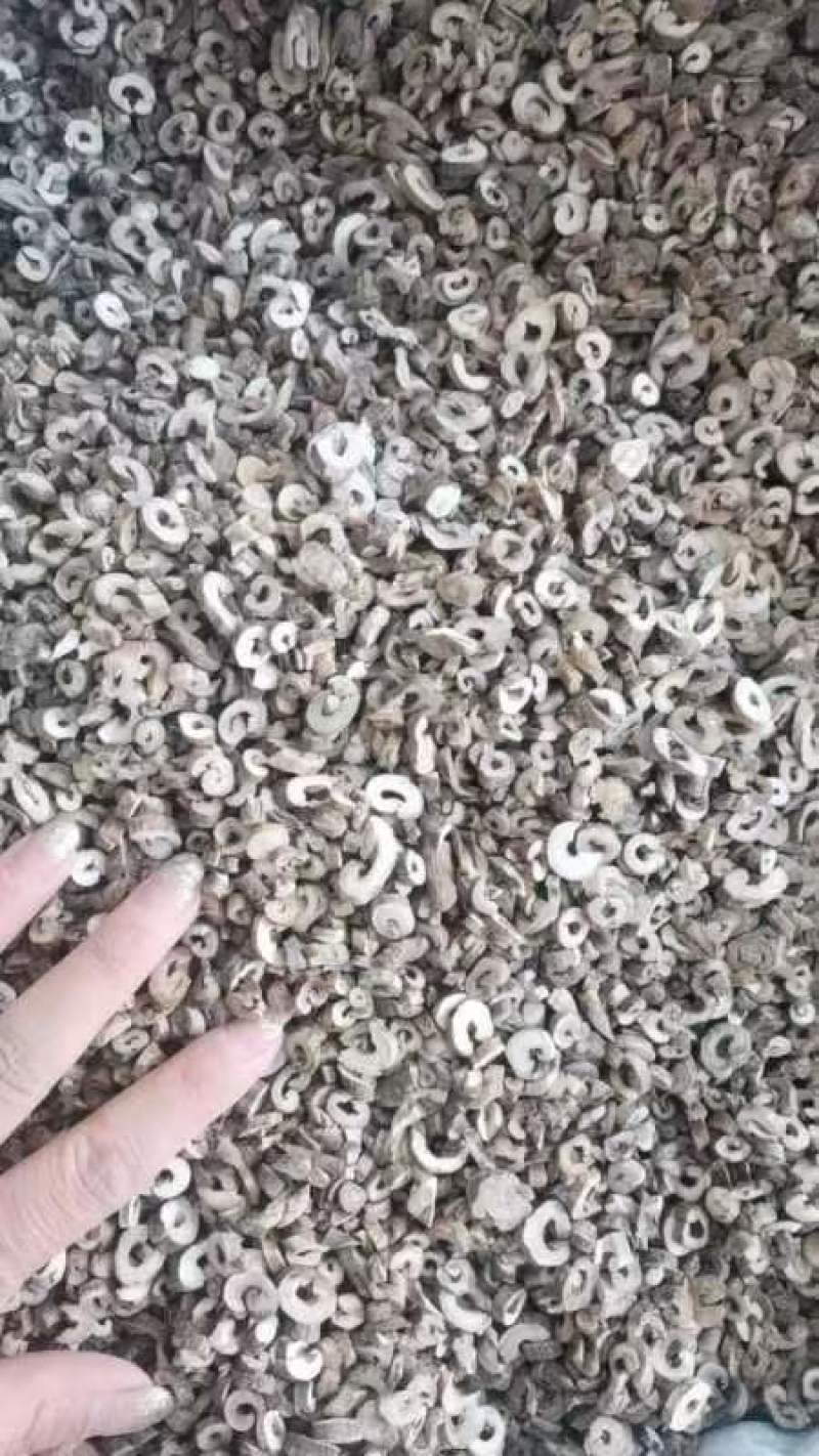 丹皮黑条