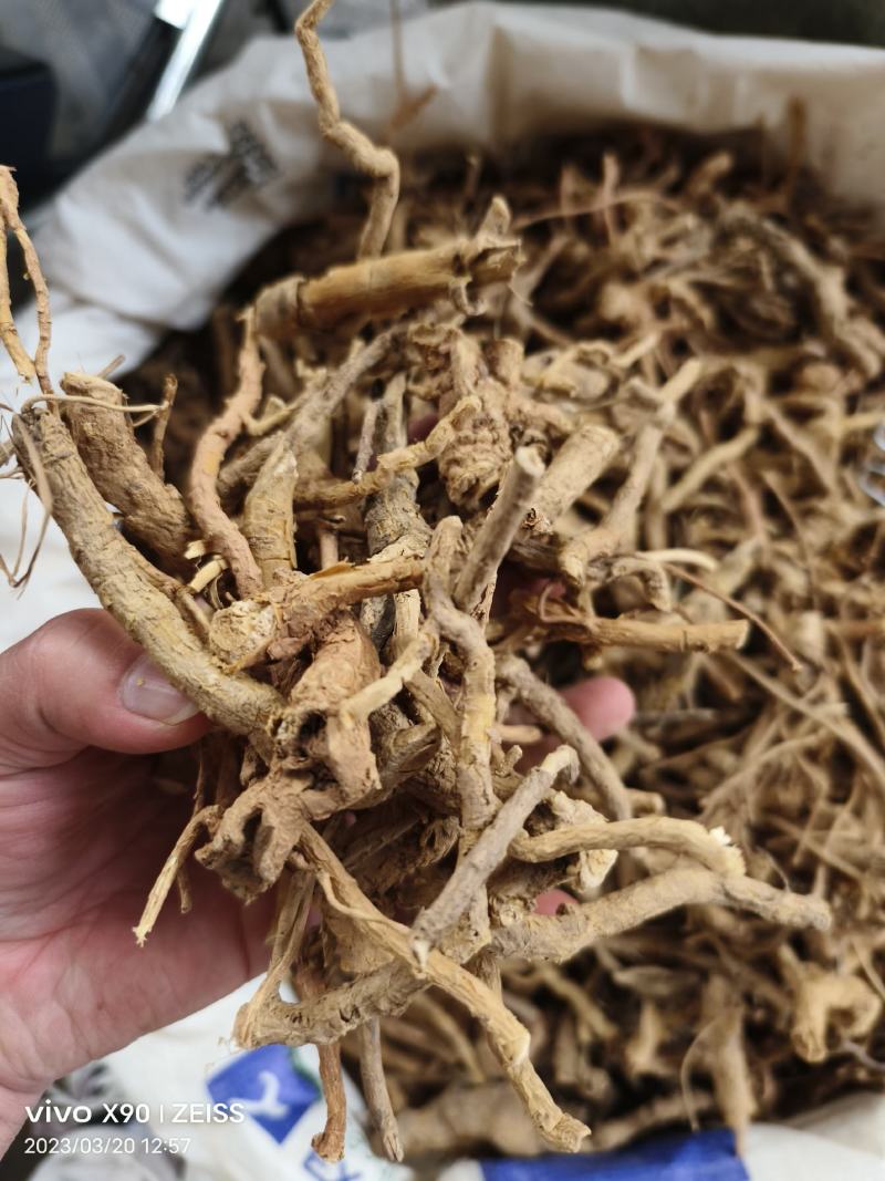 中药材鸡骨香新货货源充足批发零售