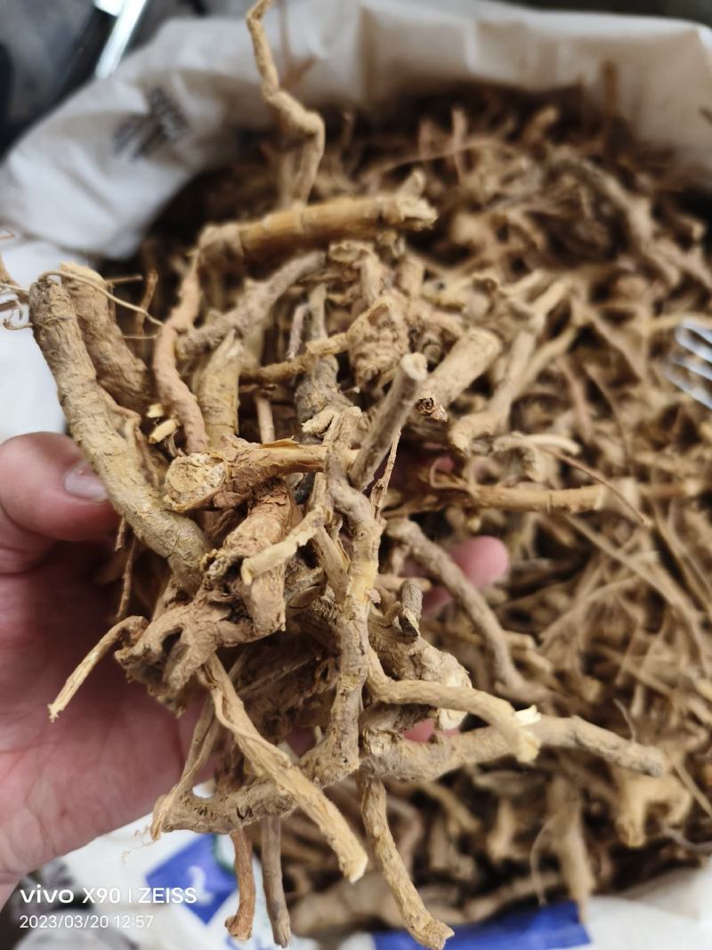 中药材鸡骨香新货货源充足批发零售