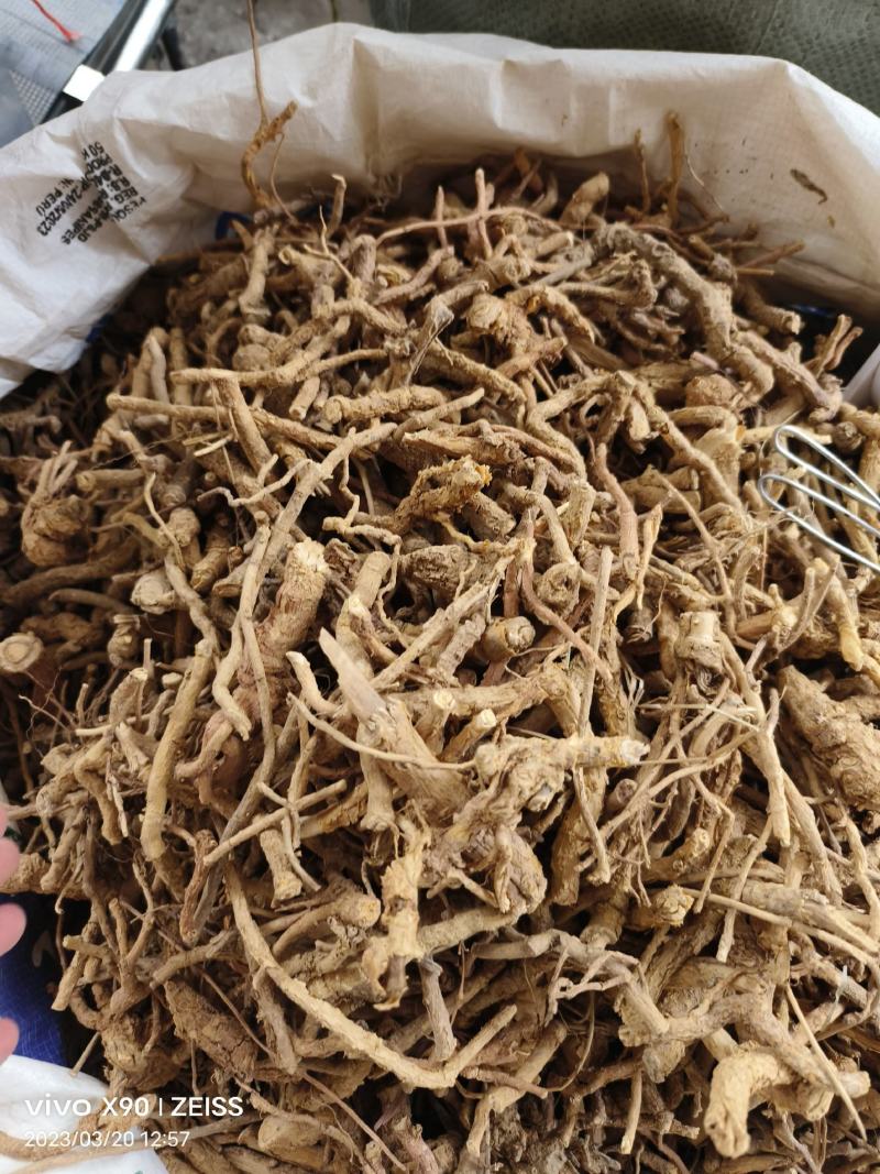 中药材鸡骨香新货货源充足批发零售