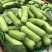 原产地瓠瓜大量上市，欢迎广大朋友老板，电商选购……