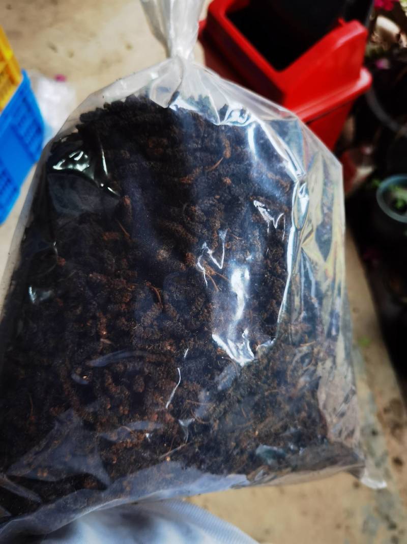 桑葚台湾长果桑桑葚干，可当茶饮，可泡酒，***无添加剂，