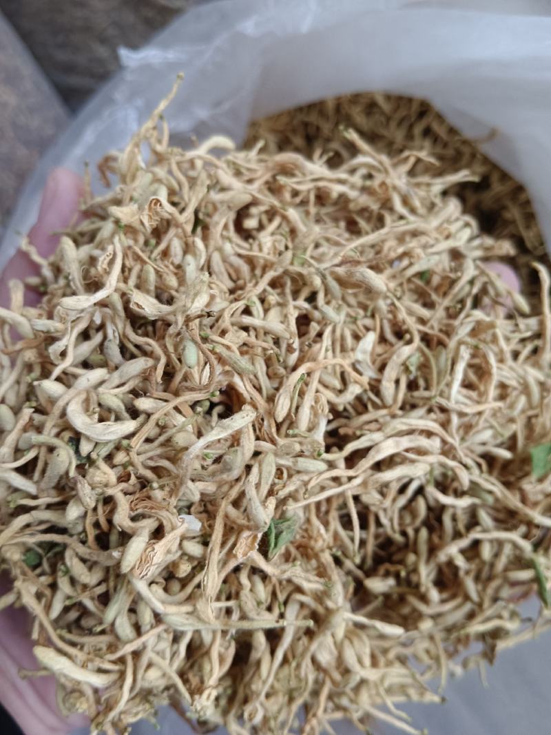 金银花