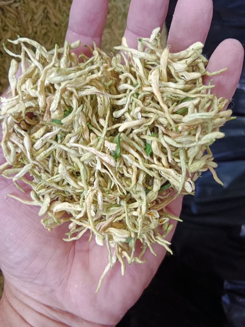 金银花