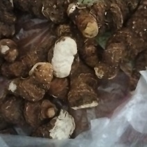 重楼无硫中药材欢迎联系