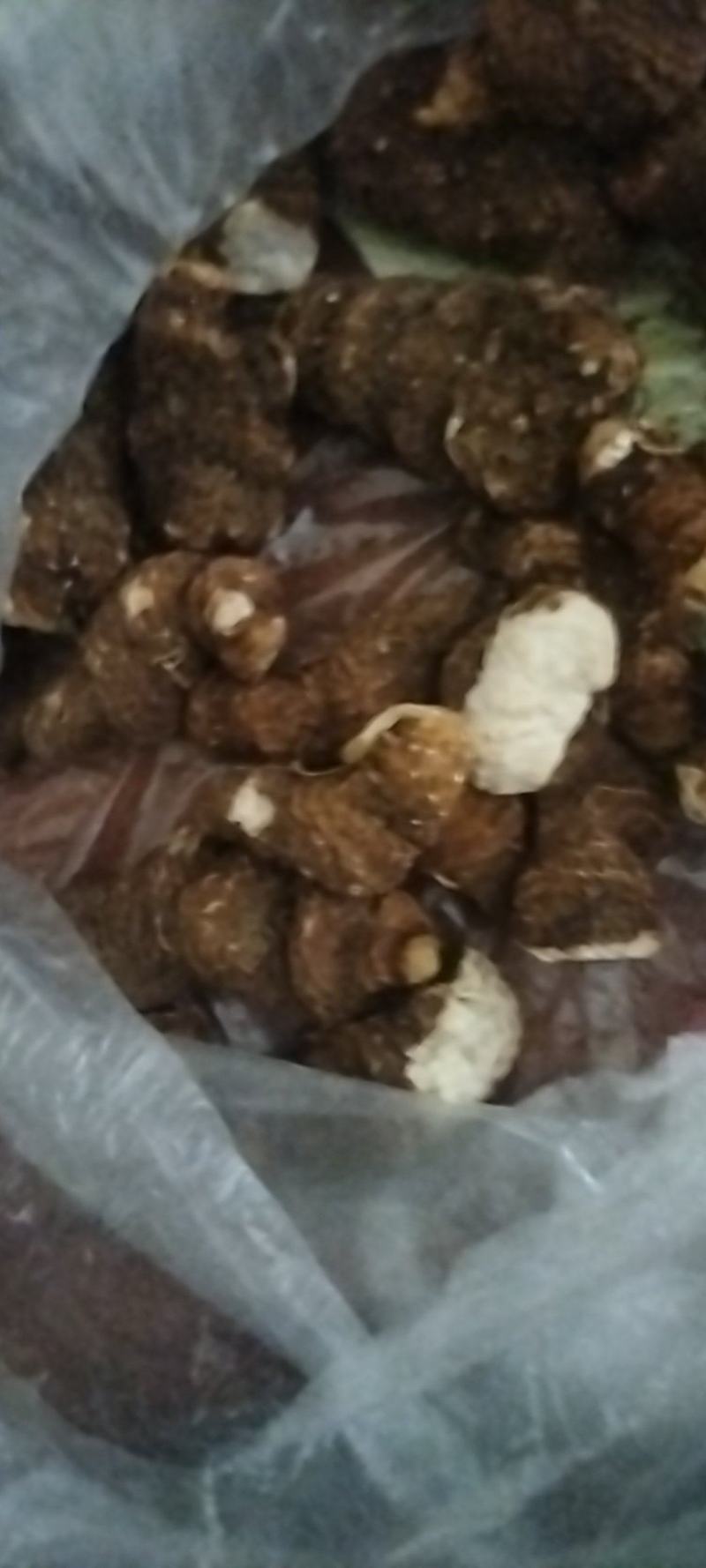 重楼无硫中药材欢迎联系