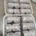 金耳菌包源头厂家发货，好质量高品质