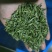 恩施绿茶2023年新茶上市富硒贡芽