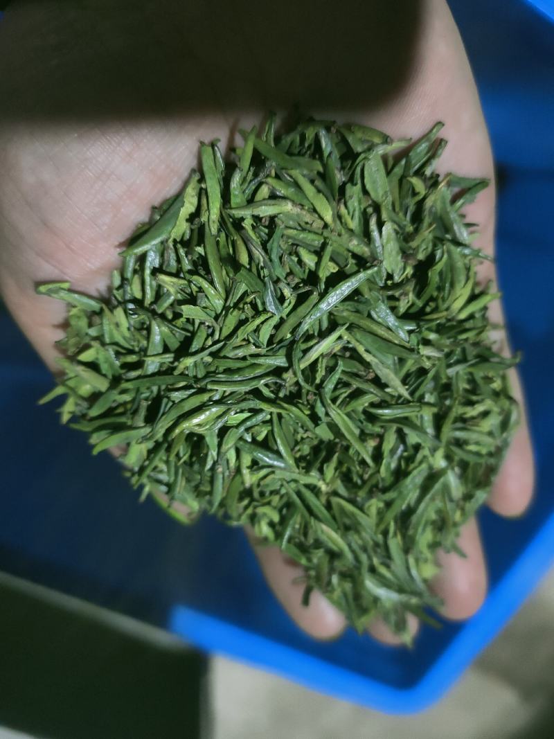 恩施绿茶2023年新茶上市富硒贡芽