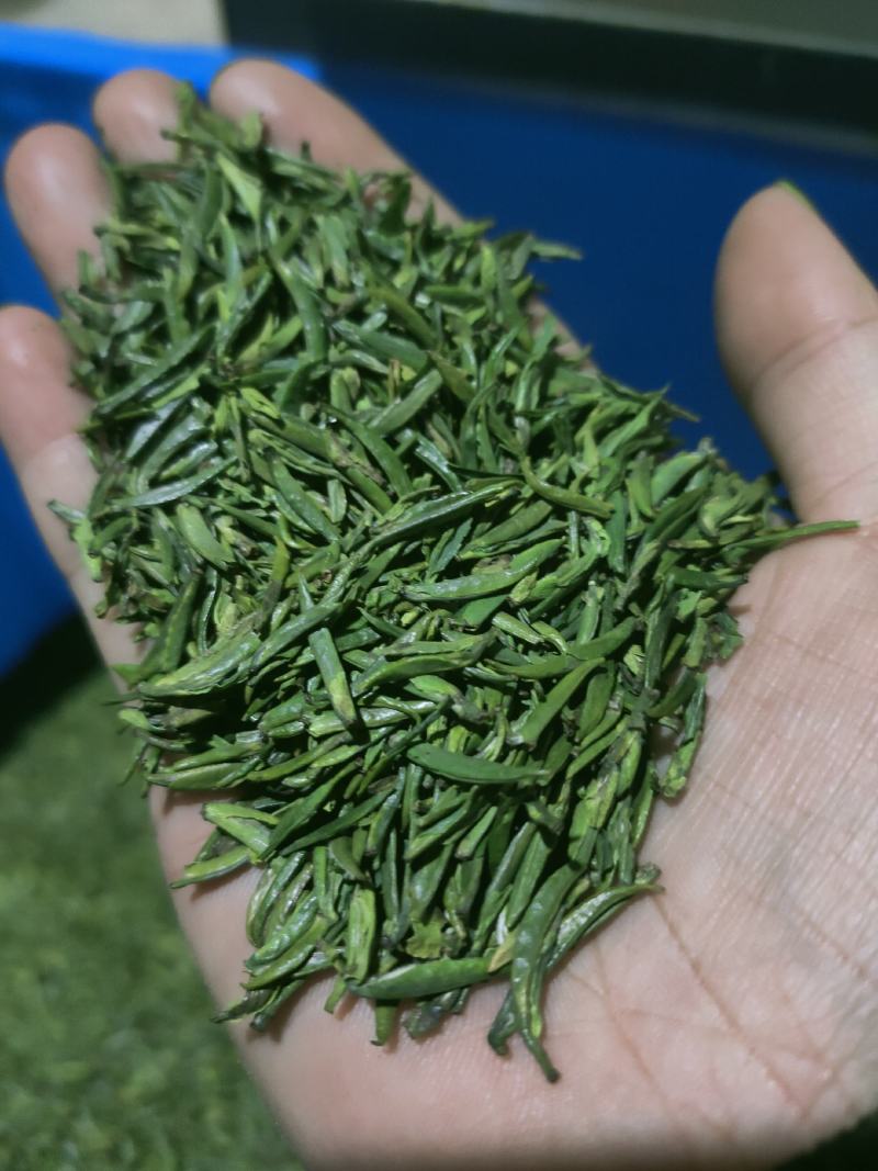 恩施绿茶2023年新茶上市富硒贡芽