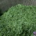 2023年新茶恩施富硒茶富硒毛尖贡芽玉露