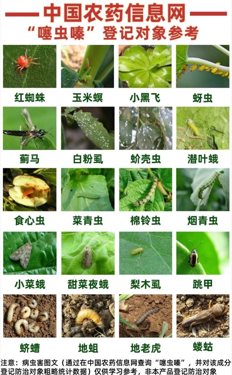 噻虫嗪悬浮剂稻飞虱蚜虫白粉虱蓟马水稻果树蔬菜噻虫螓杀虫剂