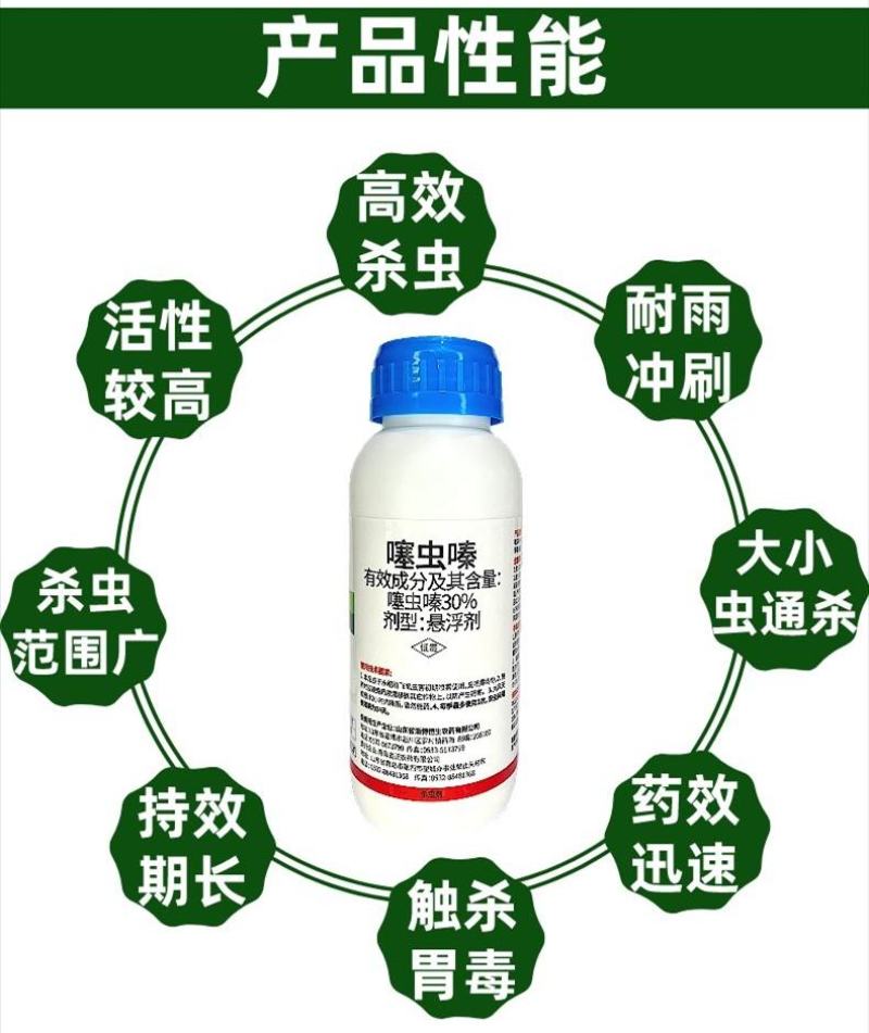 噻虫嗪悬浮剂稻飞虱蚜虫白粉虱蓟马水稻果树蔬菜噻虫螓杀虫剂
