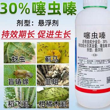 30%噻虫嗪高含量杀虫剂蚜虫木虱飞虱果树蔬菜