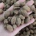 砂仁西砂仁毛砂仁春沙仁广砂仁新货中药材卤肉火锅香料调料包
