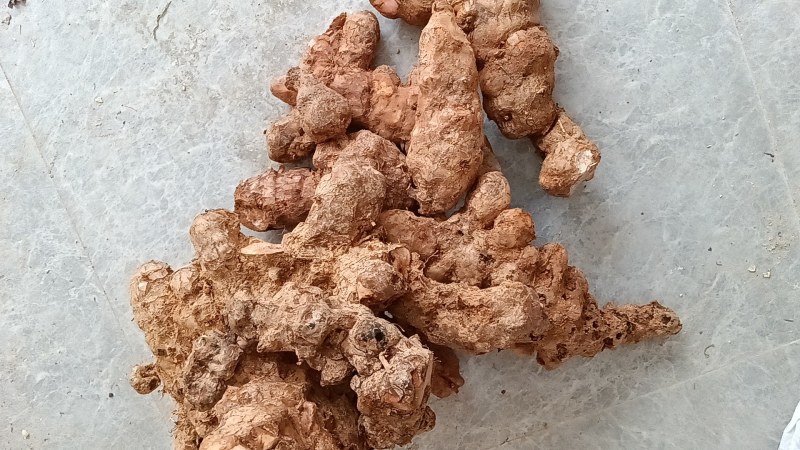 【推荐】精品湖南土茯苓可视频看货欢迎联系咨询