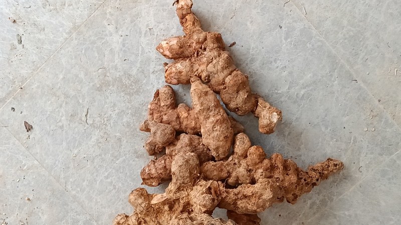 【推荐】精品湖南土茯苓可视频看货欢迎联系咨询