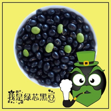 （包邮）黑豆5斤装绿芯/黄芯两个品种可选小黑豆