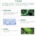 43%戊唑醇杀菌剂小麦白粉病苹果树斑点落叶病杀菌剂农药