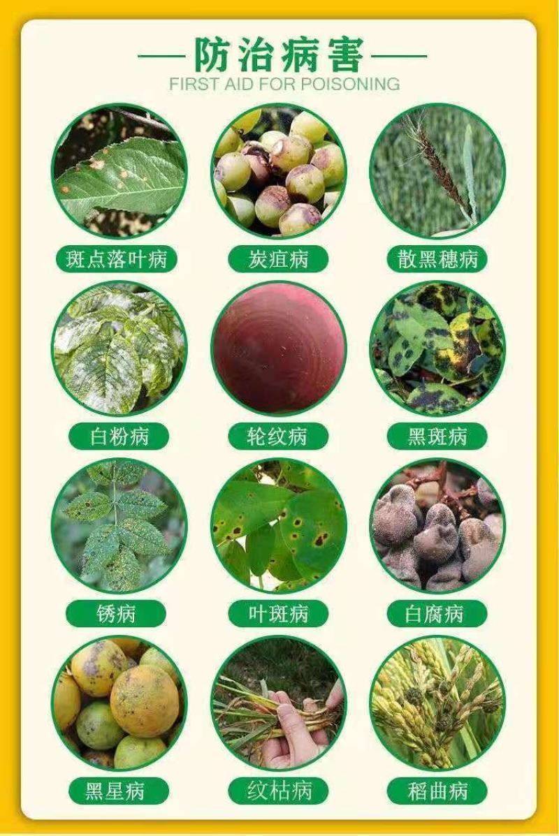 43%戊唑醇杀菌剂小麦白粉病苹果树斑点落叶病杀菌剂农药