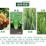 43%戊唑醇杀菌剂小麦白粉病苹果树斑点落叶病杀菌剂农药