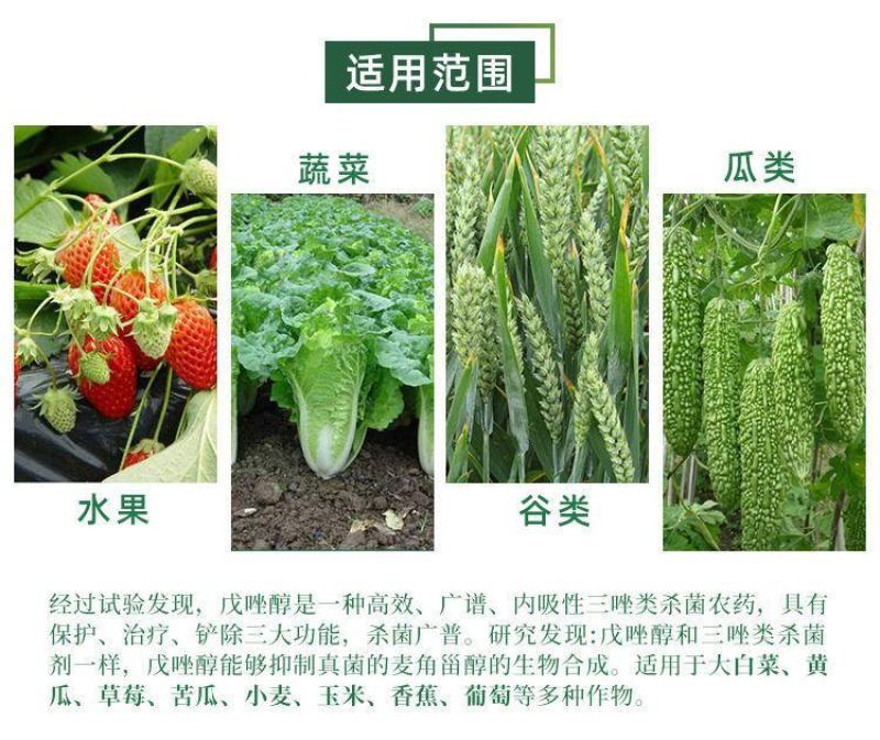 43%戊唑醇杀菌剂小麦白粉病苹果树斑点落叶病杀菌剂农药