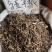 中药材含羞草根新货货源充足批发零售