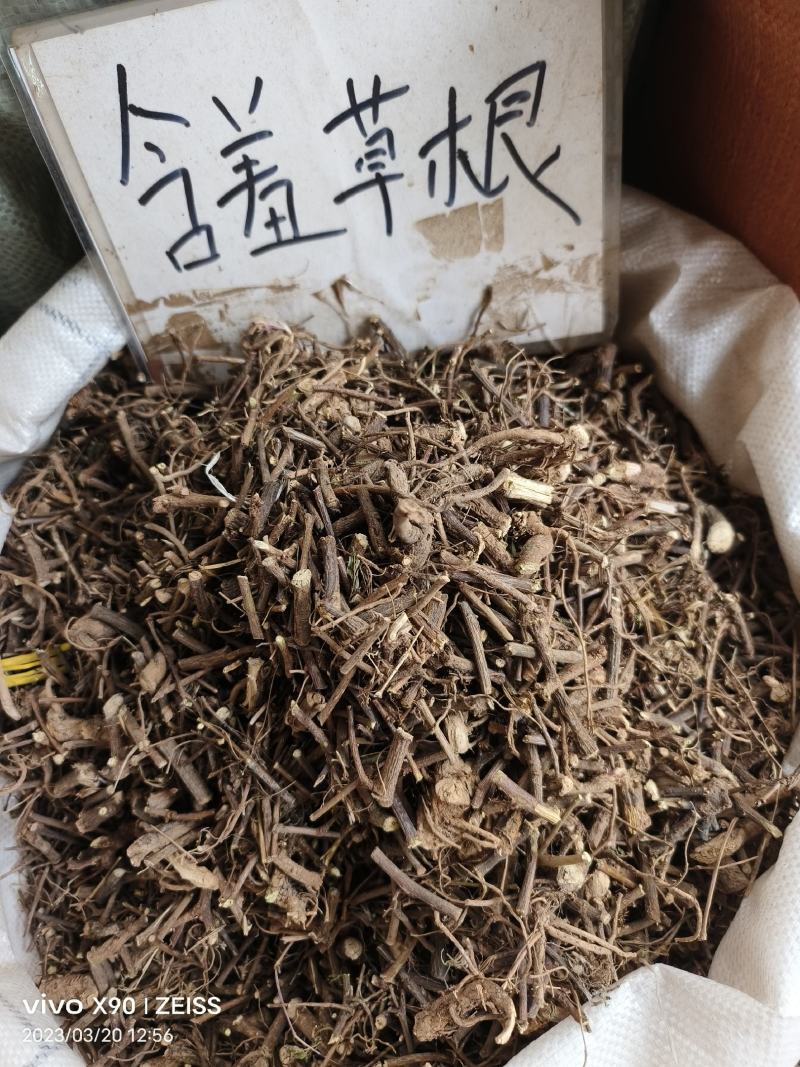 中药材含羞草根新货货源充足批发零售