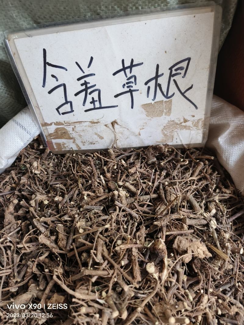 中药材含羞草根新货货源充足批发零售