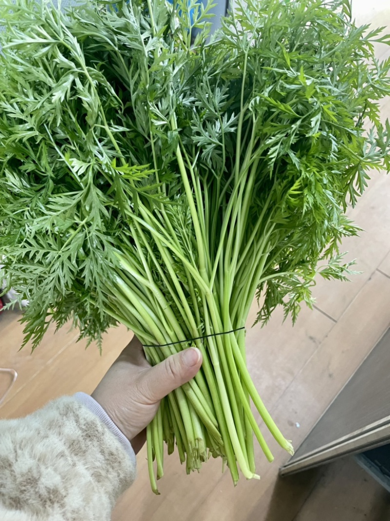 川芎尖，色泽鲜艳，现货供应货源充足。
