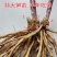 2年绿芦笋根5棵