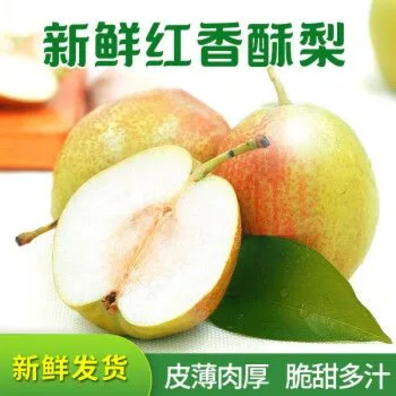 红香酥梨一手货源，量大从优欢迎选购可视频验货