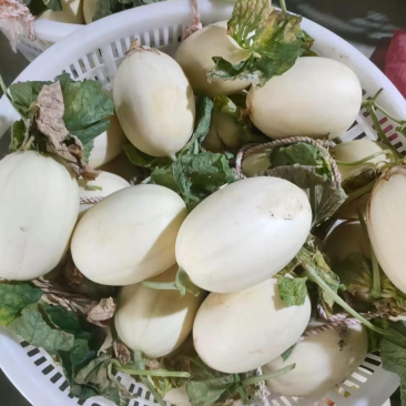 东方蜜