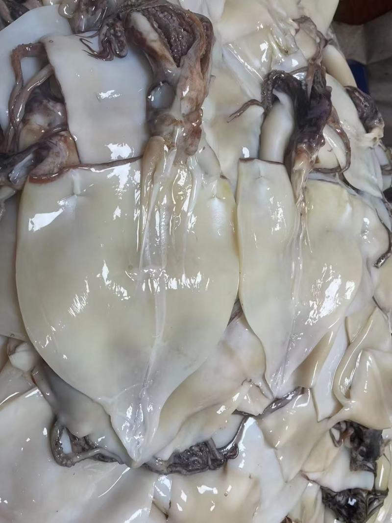 去眼睛，去皮，去内脏，去软骨，清理好的大鱿鱼，带头，带须