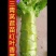 山东莴苣苗，穴盘苗江浙沪皖豫，发货次日到达，破损包赔。