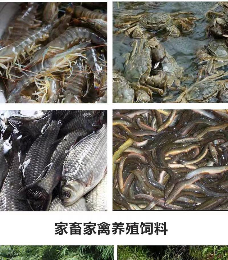 饲料鱼干鸡鸭鱼猪水产小龙虾螃蟹养殖原料量大优惠包邮