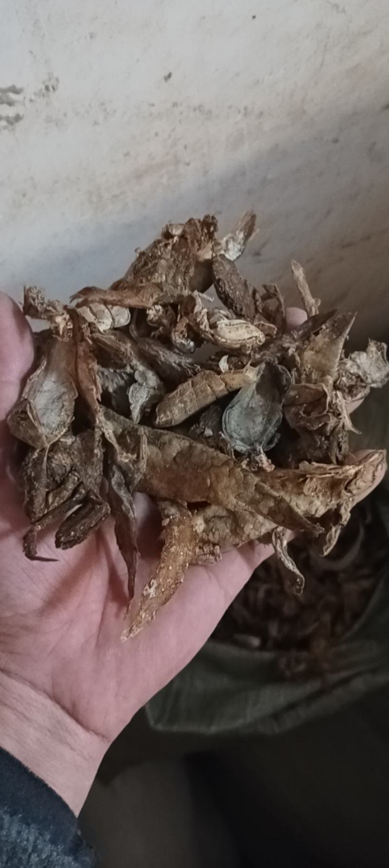 饲料鱼干鸡鸭鱼猪水产小龙虾螃蟹养殖原料量大优惠包邮
