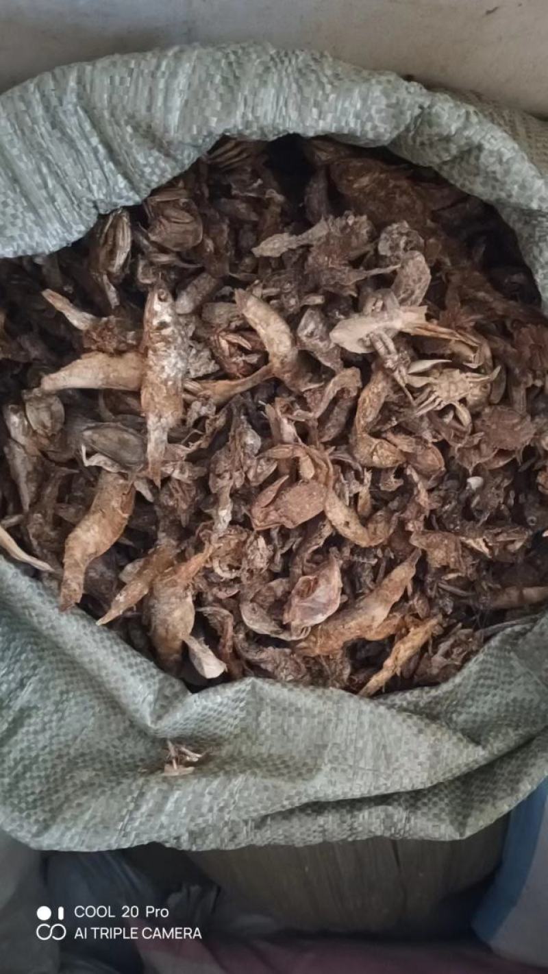 饲料鱼干鸡鸭鱼猪水产小龙虾螃蟹养殖原料量大优惠包邮