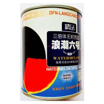 浪潮六号无籽西瓜种子黑皮红瓤三倍体杂交品种种子