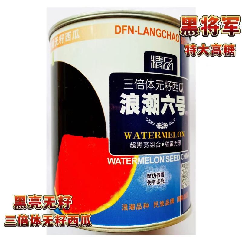 浪潮六号无籽西瓜种子黑皮红瓤三倍体杂交品种种子