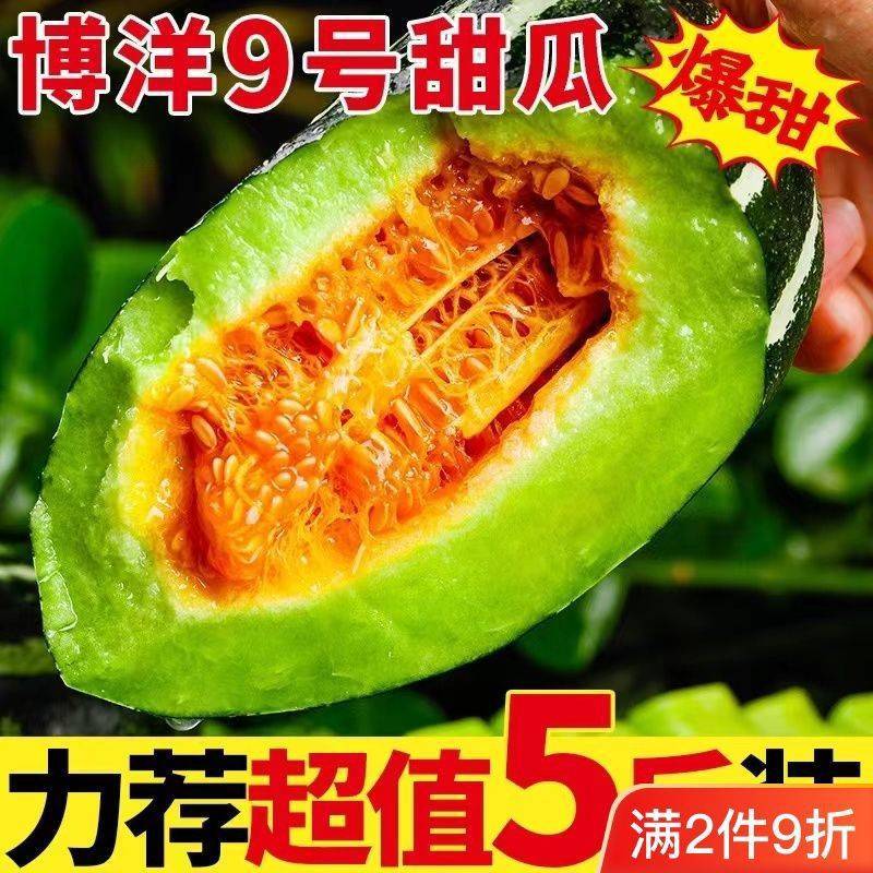 博洋九甜瓜绿肉脆甜头茬欢迎批发商商超对接电商一件代发