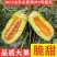 博洋九甜瓜绿肉脆甜头茬欢迎批发商商超对接电商一件代发