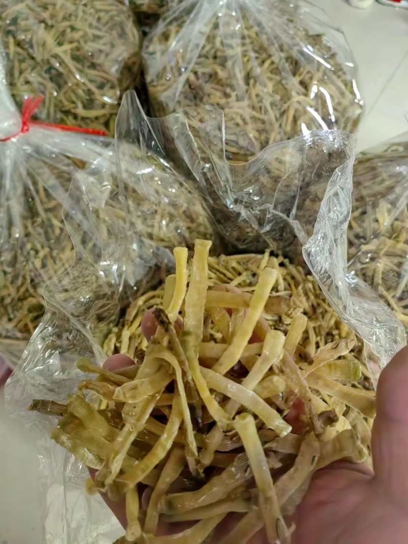 广西北海足干无沙小沙虫一手货源低价批发