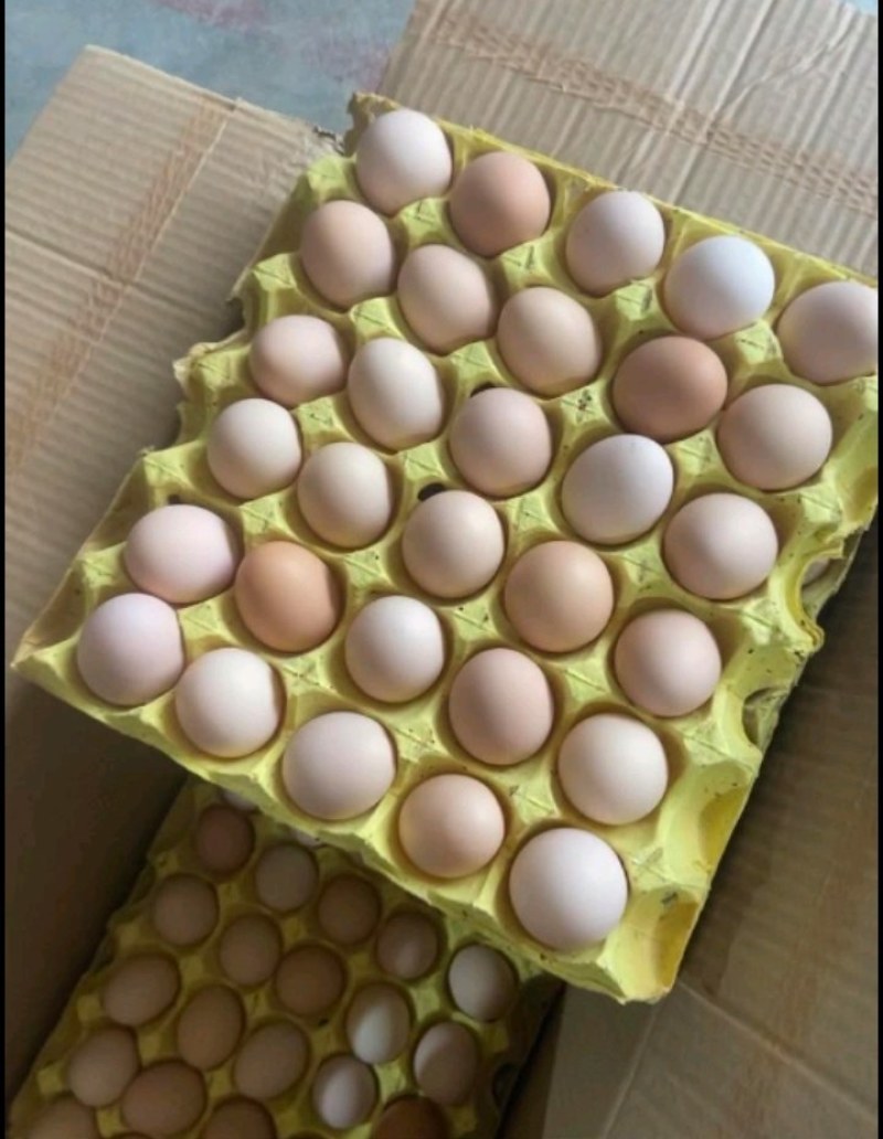 精品土鸡蛋