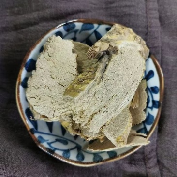 中药材芦竹根