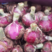 【牛商推荐】河南精品紫皮洋葱，产区直发量大从优，欢迎来电
