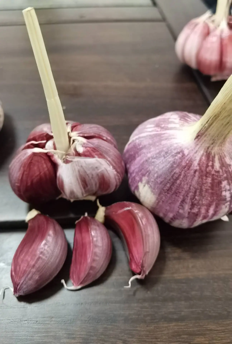 【实力推荐】河南紫皮蒜大量上市，个大饱满品质保障