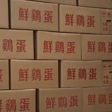 出售精品红蛋39--45