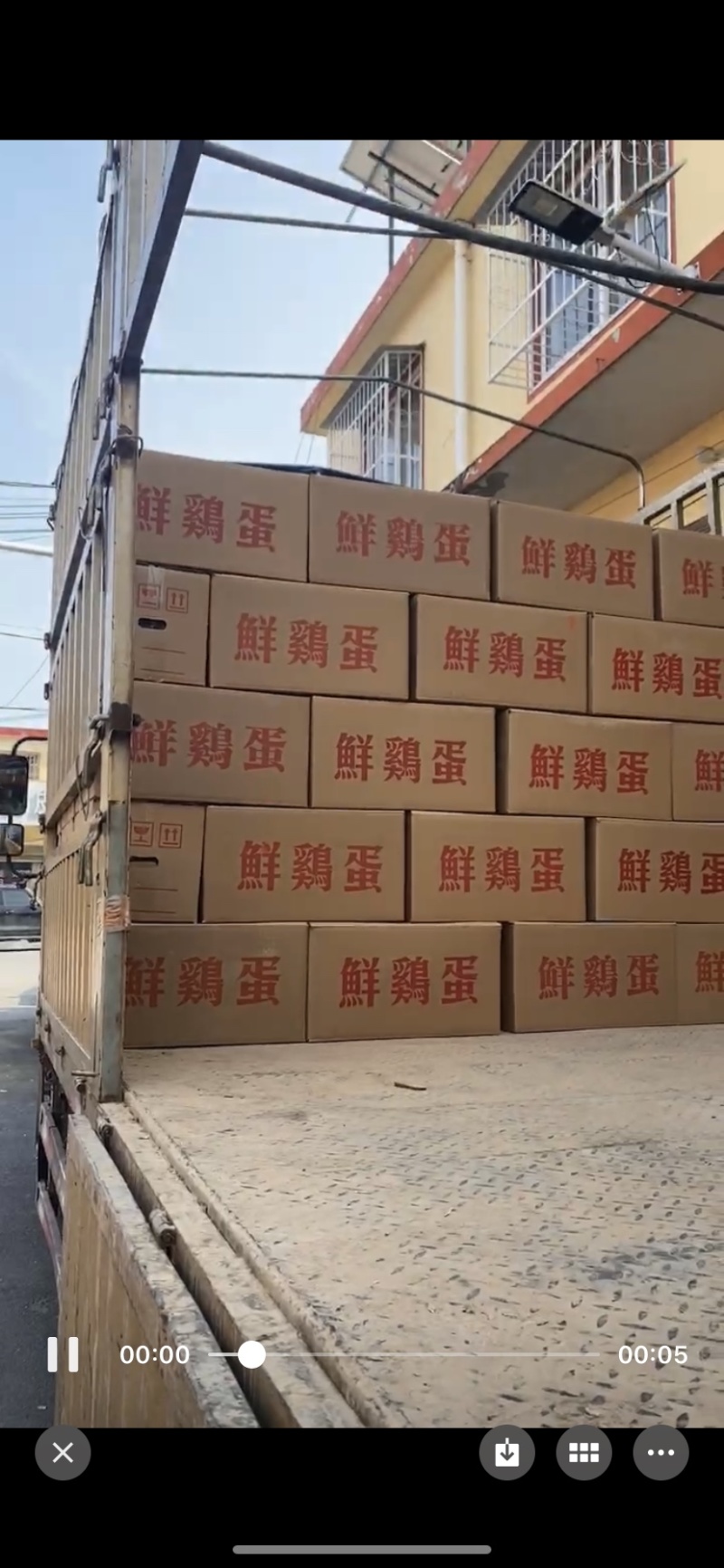 出售精品红蛋39--45